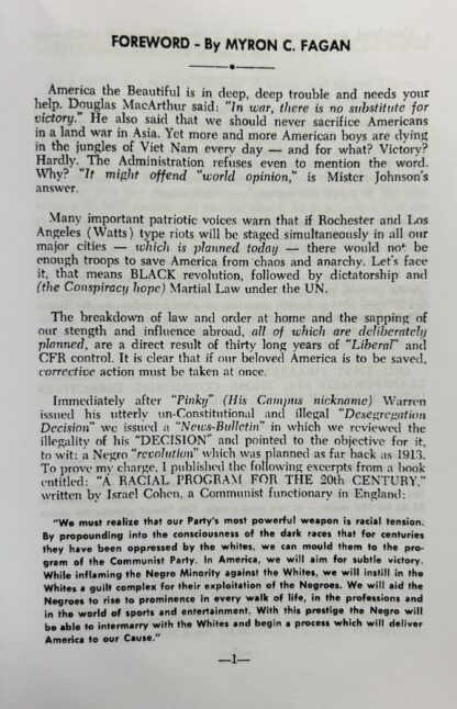 RACIAL CHAOS AND CRIMINAL ANARCHY - The Prelude to Black Revolution - Image 2