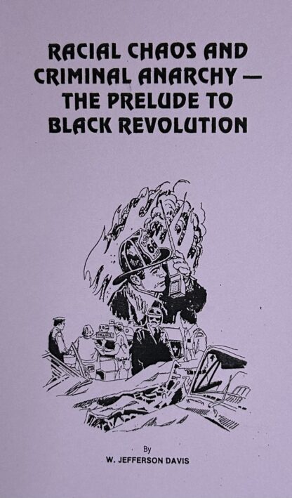 RACIAL CHAOS AND CRIMINAL ANARCHY - The Prelude to Black Revolution
