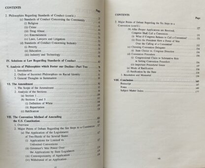 AMENDMENT TO THE CONSTITUTION Averting the Decline and Fall of America - Image 4